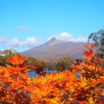 226 150x150 - 紅葉真っ最中の京都、この連休が見頃です！お出かけのちょっとしたポイントをお伝えします♪
